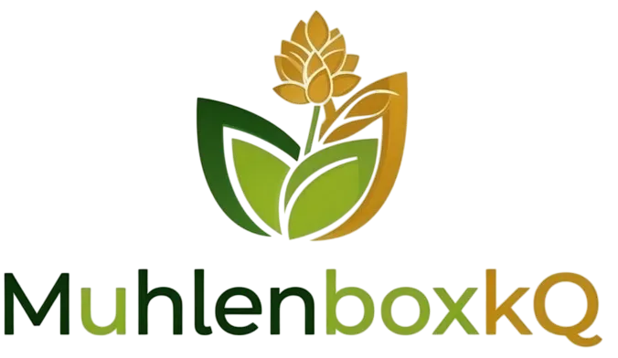 MühlenBox KQ